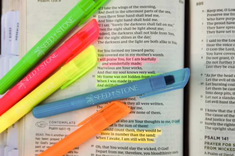 Bible Study Essentials Bundle: Bible Highlighters (5 pack) + Pen Holder